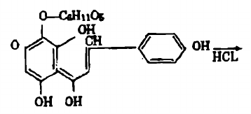 Hình 12.2. Cây hồng hoa - Carthamus tinctorius