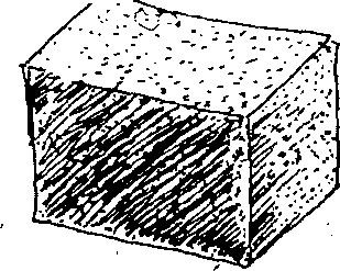 Hình 270. Dây thuốc cá - Derris elliptica