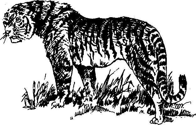 Hình 729. Phân người
