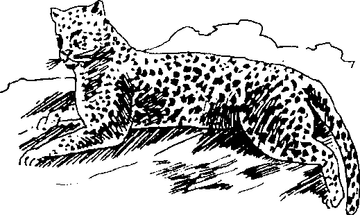 Hình 730. Phân người